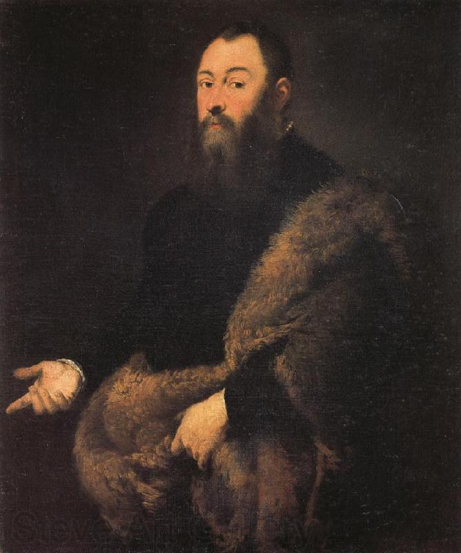 Jacopo Tintoretto Portrait of a Gentleman in a Fur Norge oil painting art